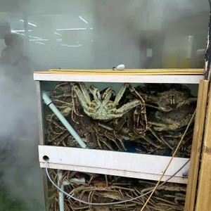 혜성식당 리뷰 사진