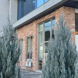 비미 리뷰 사진