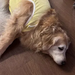 카페 빔프 사진 1