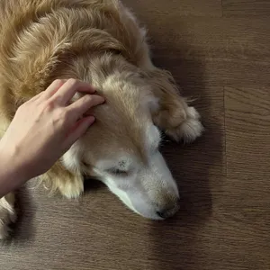 카페 빔프 사진 2