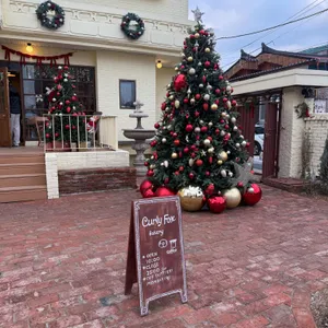 컬리폭스 리뷰 사진