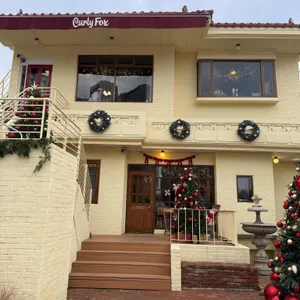 컬리폭스 리뷰 사진