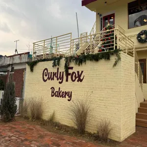 컬리폭스 리뷰 사진