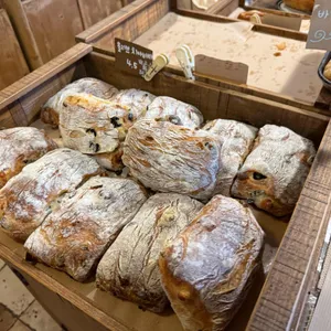 컬리폭스 리뷰 사진