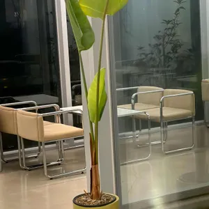 오르토커피 리뷰 사진