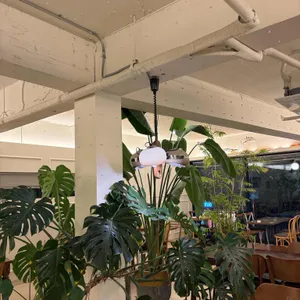 파르테르 리뷰 사진