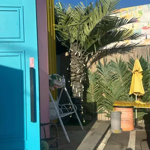 카캉스 리뷰 사진