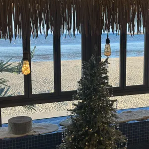 하와이다 리뷰 사진