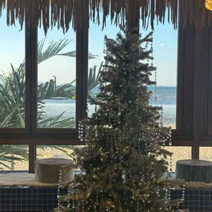 하와이다 리뷰 사진