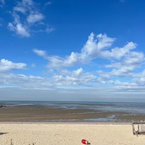 하와이다 리뷰 사진