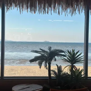 하와이다 리뷰 사진