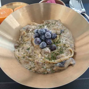 파인 포레스트 사진