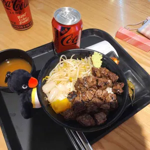 홍대개미 사진 1