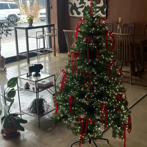 비코프 리뷰 사진