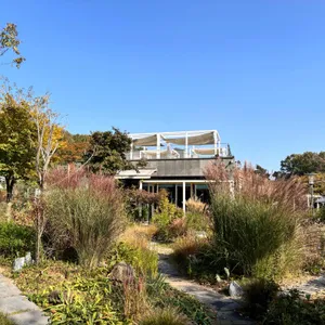 피콕그린 리뷰 사진