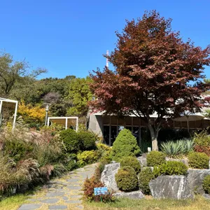 피콕그린 리뷰 사진