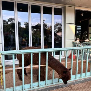 수산공원 리뷰 사진