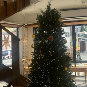 덴바 리뷰 사진