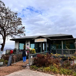 노지식당 리뷰 사진