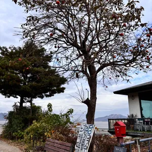 노지식당 리뷰 사진