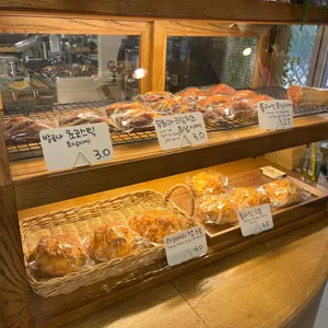 밀림 리뷰 사진