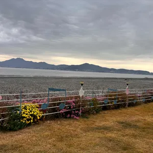 해그림카페 리뷰 사진