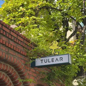 꽁티드툴레아 리뷰 사진