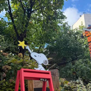 꽁티드툴레아 리뷰 사진