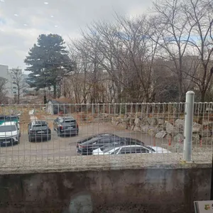 소문난 모듬조개 칼국수 리뷰 사진