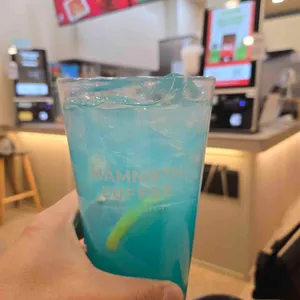 매머드익스프레스 리뷰 사진