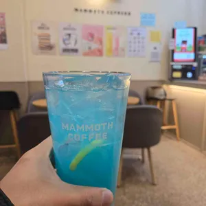 매머드익스프레스 리뷰 사진