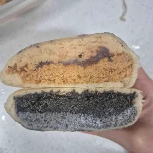 레일레타 대표 사진