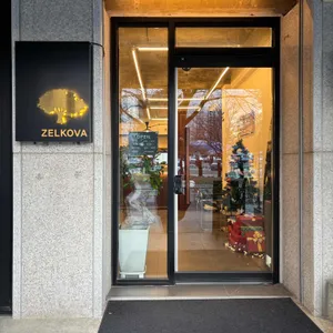 젤코바 리뷰 사진