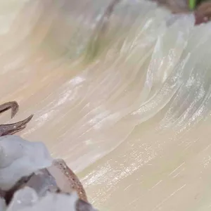 다리위오징어 리뷰 사진