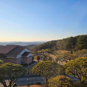 카페그리너리 리뷰 사진