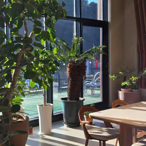 다향원 리뷰 사진