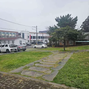 제대김밥 리뷰 사진