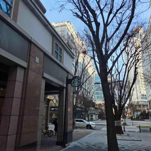 스타벅스 리뷰 사진