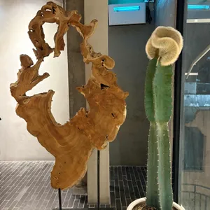 드리브 리뷰 사진