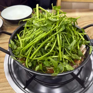 등촌샤브칼국수 사진