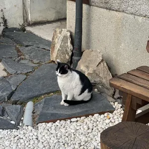 아키라커피 리뷰 사진