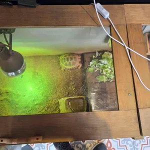 우리아빠짬뽕가게 리뷰 사진