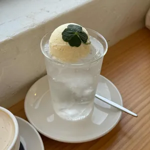 고사리 대표 사진