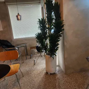 던모스 리뷰 사진