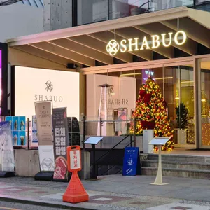 샤브오 리뷰 사진