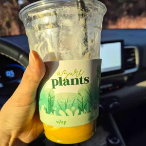 망고홀릭 리뷰 사진