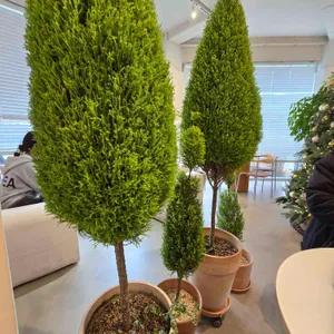 유일초밥 대표 사진