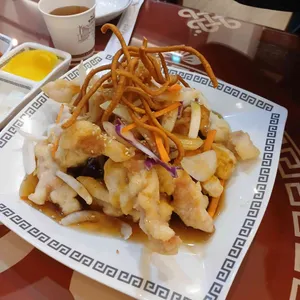 메화 대표 사진