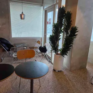 던모스 리뷰 사진