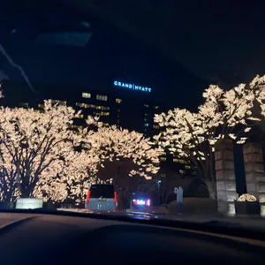 그랜드하얏트서울 테판 리뷰 사진